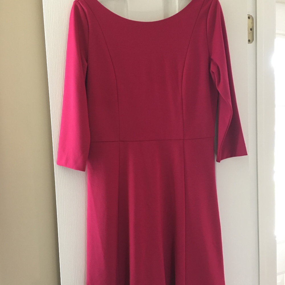 NWOT Banana Republic Berry Colored Dress
